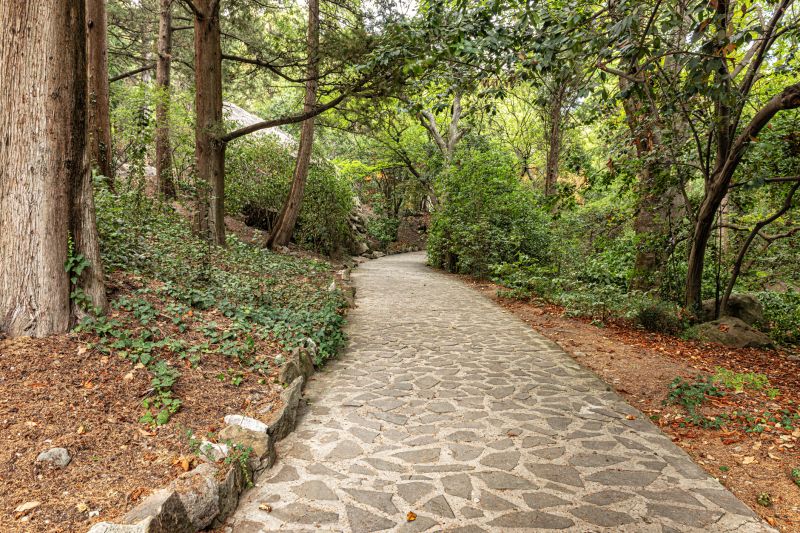 Stone Walkway Repair in Escondido, CA